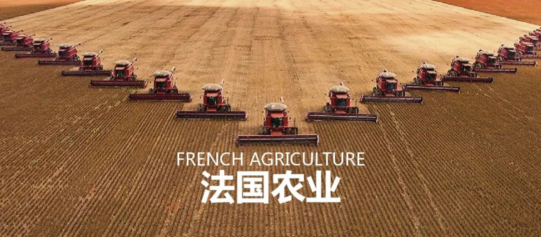 法国农业：欧盟农业大国，，，，，，靠这6大策略制胜市场
